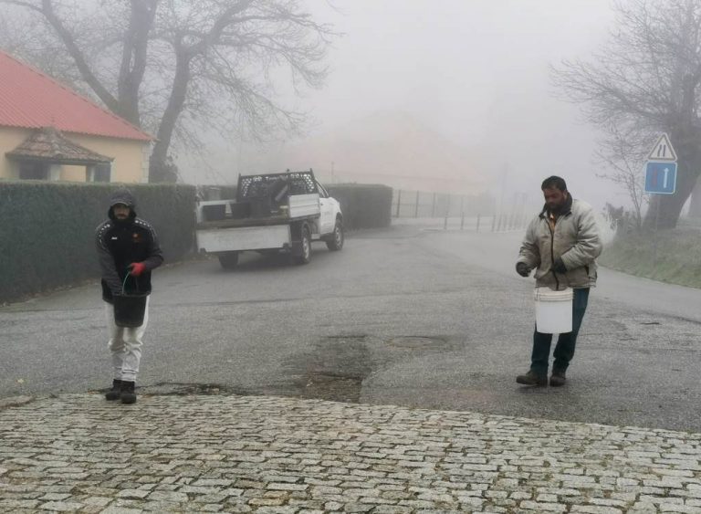 Acumulação de gelo obriga a espalhar salgema